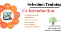 Selenium with Python Training Course in Chennai