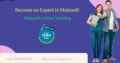 Mulesoft Online Training | Best Mulesoft Training