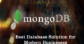 Expert MongoDB Development