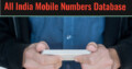 B2B & B2C Mobile Number Database Provider