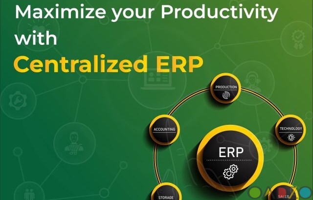 Custom ERP Software Development Company