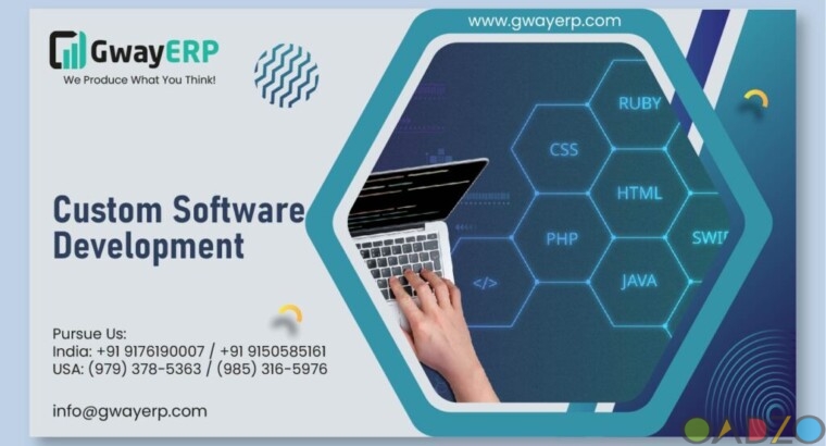 Custom ERP Software Development Company