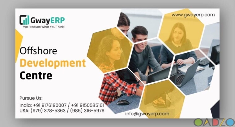 Customizable ERP Software Developers