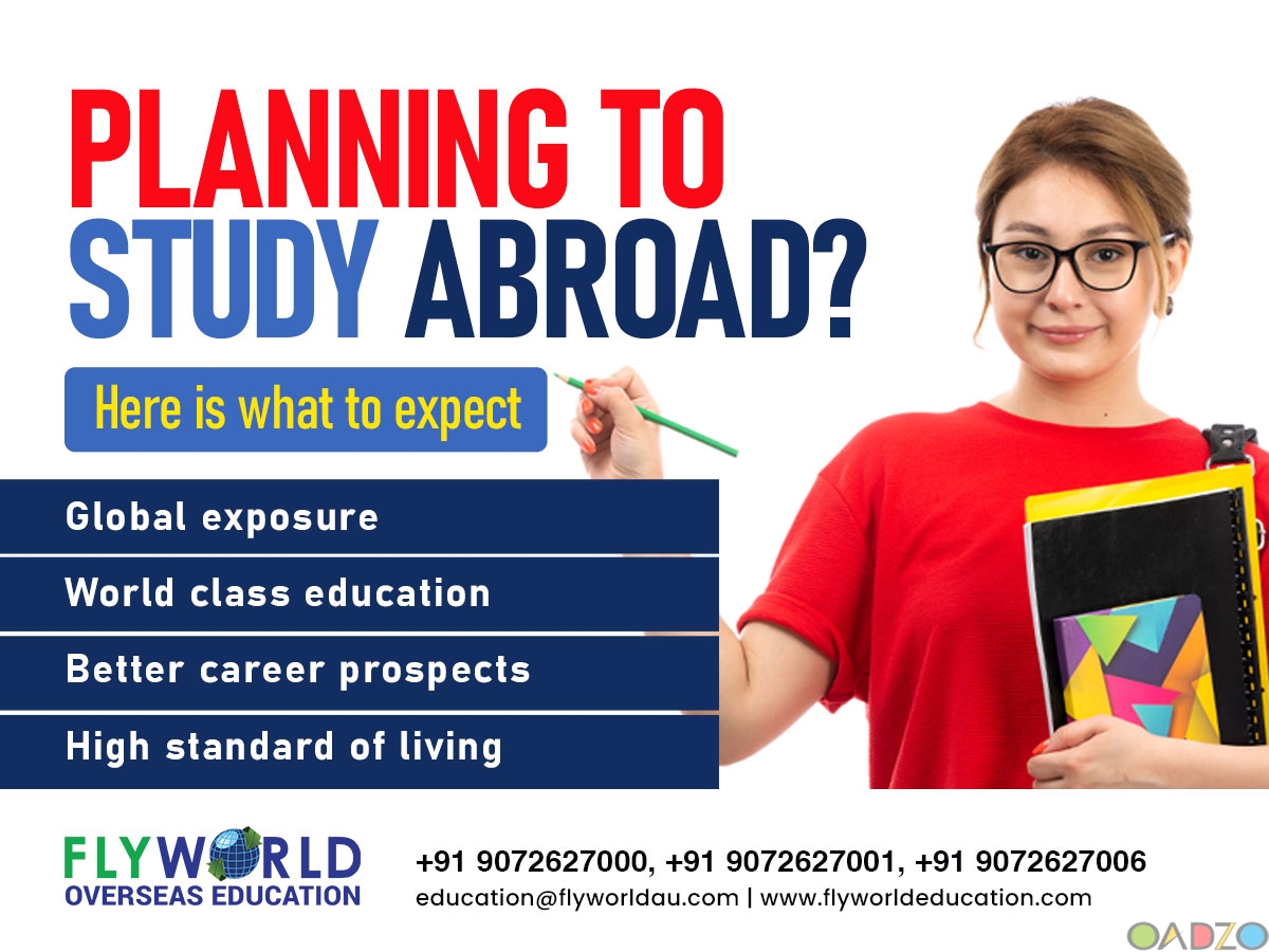 assignment abroad consultancy