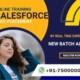 salesforce certification salesforce online trainin