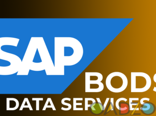 SAP BODS Data Services Training Institute from Ind