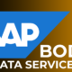 SAP BODS Data Services Training Institute from Ind