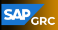 SAP Security & GRC Online Training from India