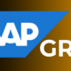 SAP Security & GRC Online Training from India