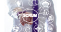 SCRUM Master / Agile Online Training In India