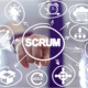 SCRUM Master / Agile Online Training In India