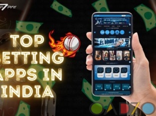 Unveiling India ‘ s Top Betting Apps : Top Picks And