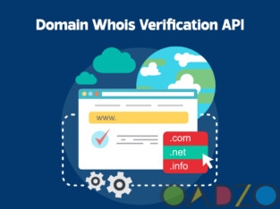 Get Whois lookup API for Find Domain Owner Detail