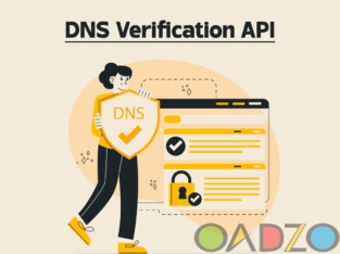 Check DNS Verification API Services in India