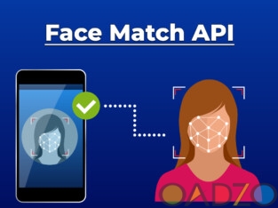 Online Facial Recognition API Provider Company Ind