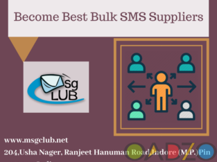 Significance of Bulk SMS Resellers for small