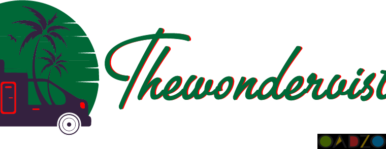 final logo thewondervista