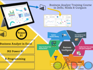 Business Analyst Course in Delhi , 110086 . Best