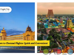 Bangalore to Chennai Flights : Quick and Convenient