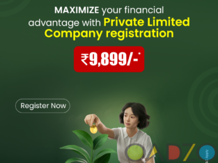 fast online private limited company registration