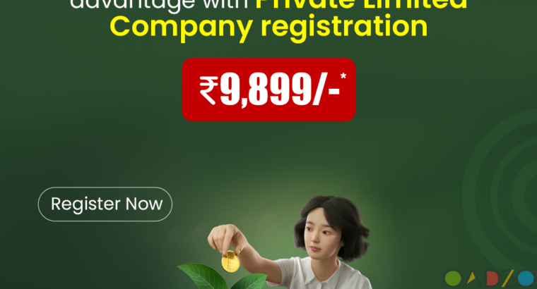 fast online private limited company registration