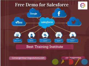 salesforce training Institute