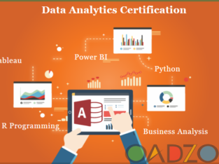 Data Analyst Course in Delhi , 110088 . Best Online