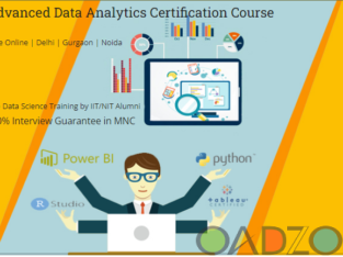 # 1 Top Data Analyst Training Course in Delhi , 1100