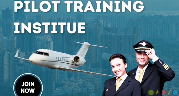 Pilot Taining Institute