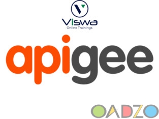 APIGEE Online Coaching Classes In India , Hyderabad